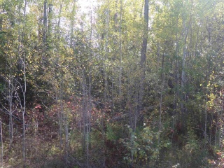 LT 12 Con 7, Dorion Ontario, Canada