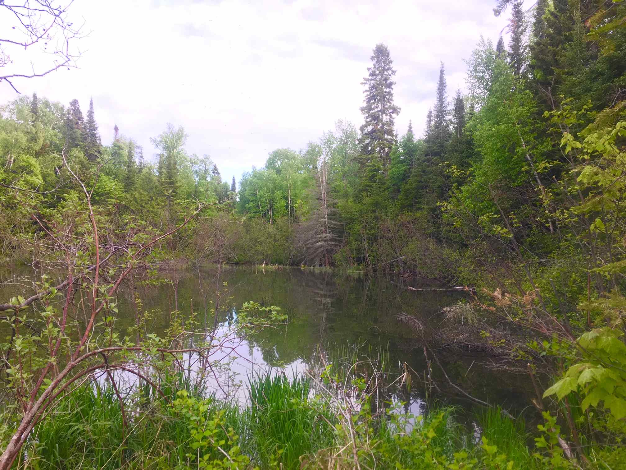 905 Grann Drive, Thunder Bay Ontario, Canada