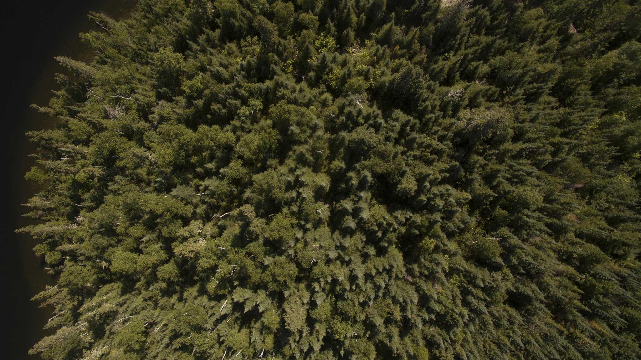 1 BIG VIRGIN Island, Nipigon, Ontario, Canada