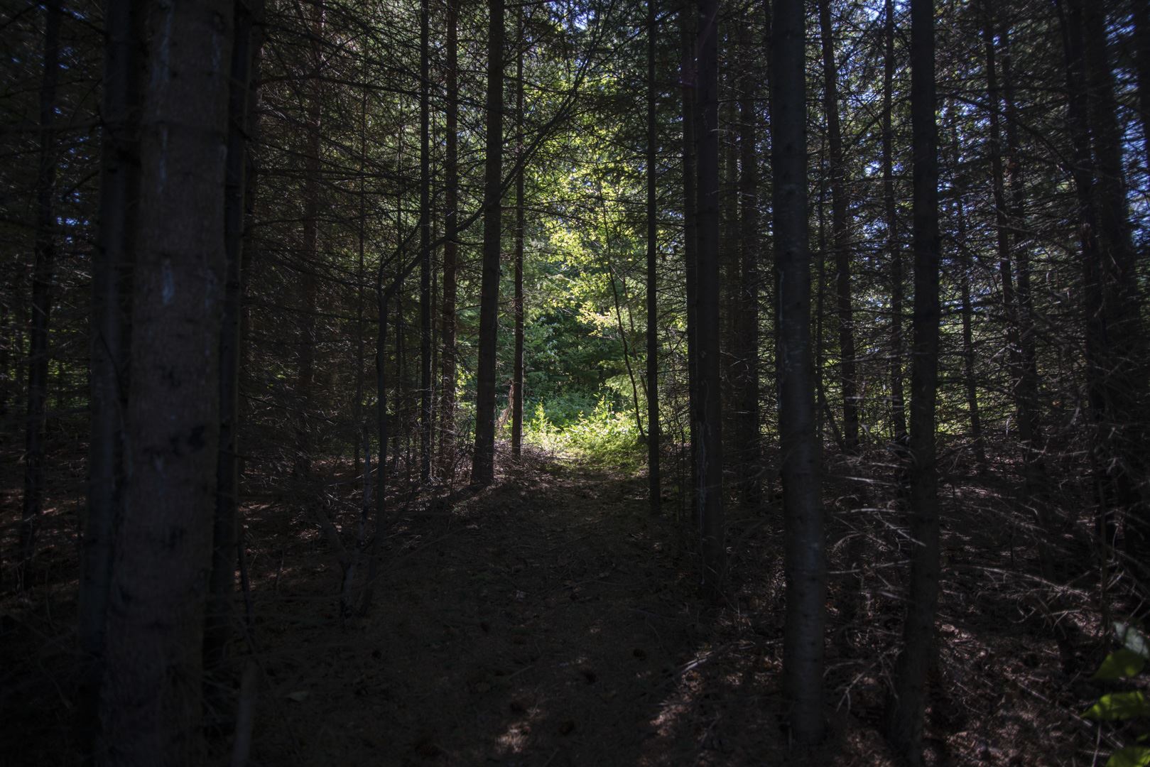 1 BIG VIRGIN Island, Nipigon, Ontario, Canada