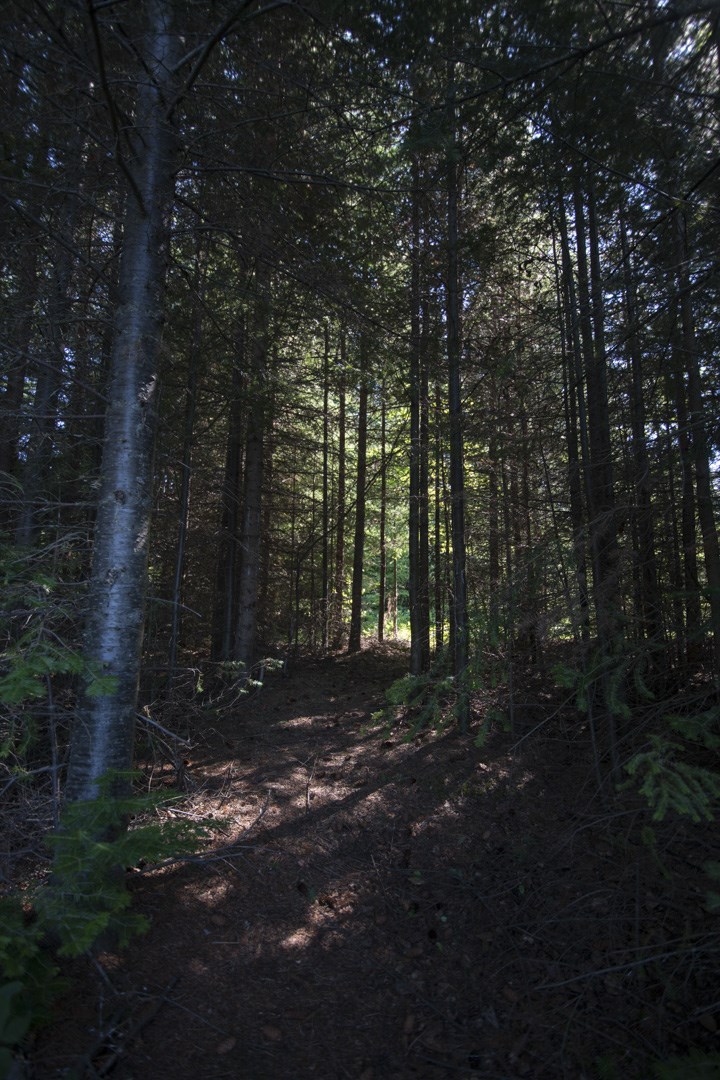 1 BIG VIRGIN Island, Nipigon, Ontario, Canada