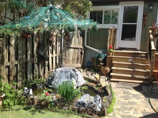 218 Court Street S, Thunder Bay Ontario