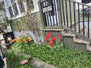 218 Court Street S, Thunder Bay Ontario