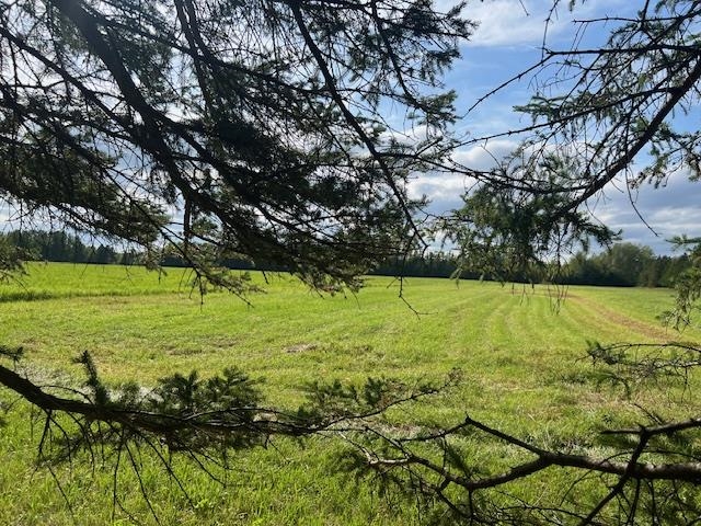 2187 HWY 602, Fort Frances, Ontario, Canada photo 32
