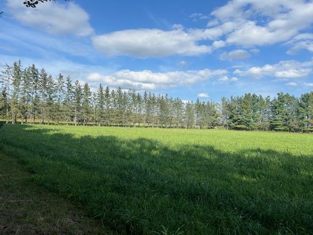 2187 HWY 602, Fort Frances, Ontario, Canada photo 35