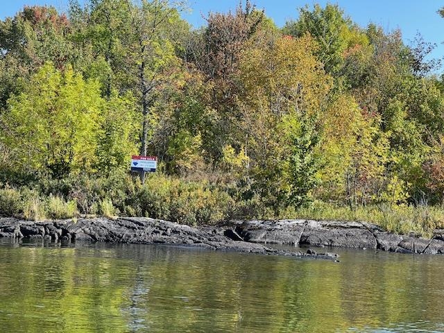 G 734 Rainy Lake, Fort Frances, Ontario, Canada photo 4
