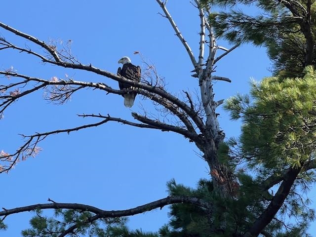 G 734 Rainy Lake, Fort Frances, Ontario, Canada photo 11