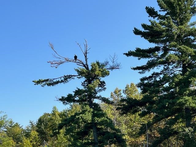 G 734 Rainy Lake, Fort Frances, Ontario, Canada photo 15