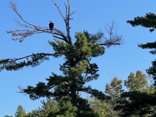 G 734 Rainy Lake, Fort Frances, Ontario, Canada photo 16