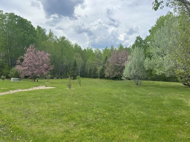 143 McTavish Road, Devlin, Ontario, Canada photo 17