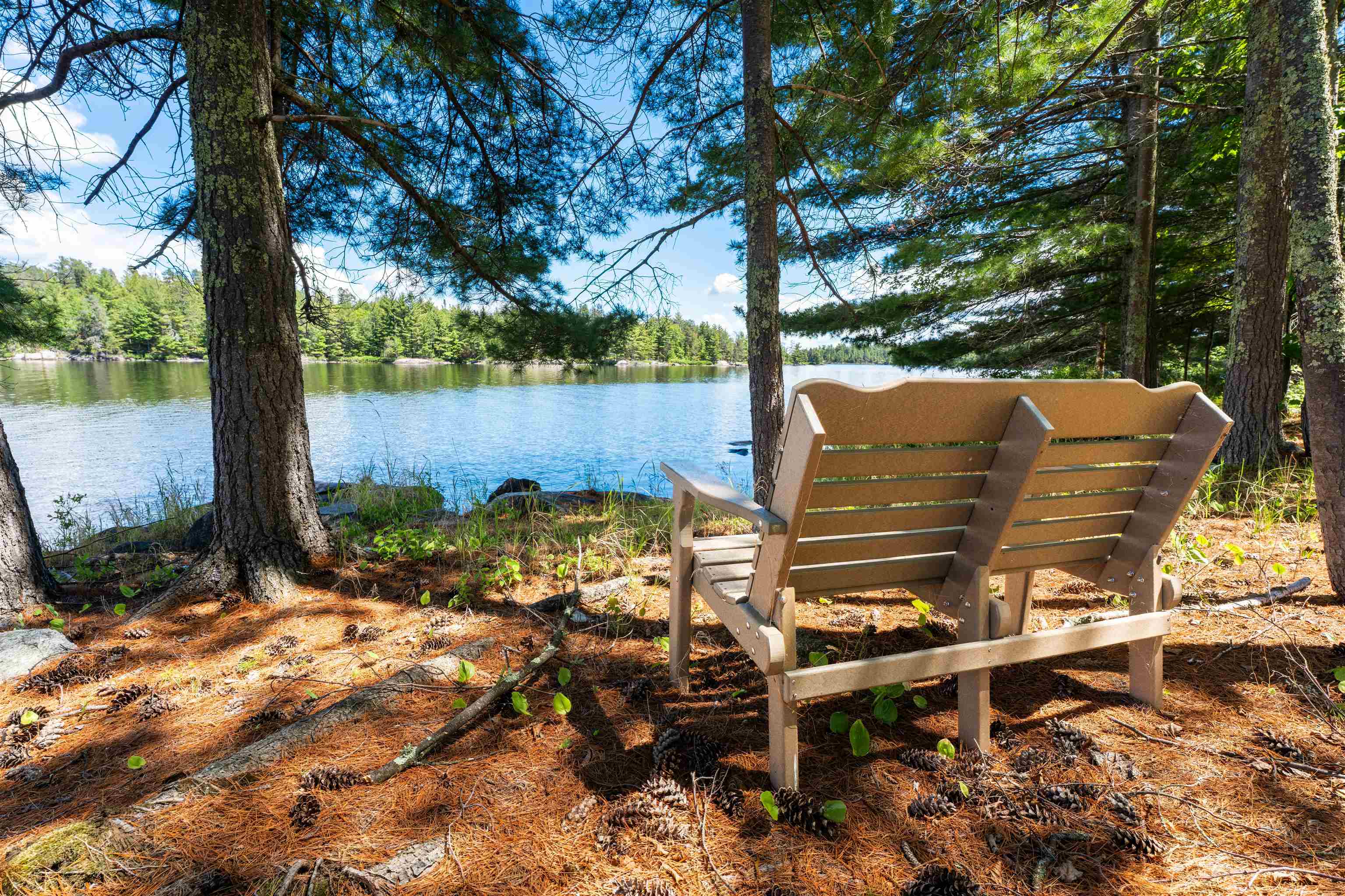 G-1425 Ben Island, Rainy Lake Island, Fort Frances, Ontario, Canada photo 46
