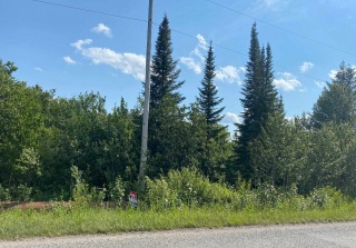 PT LT 9 Bone Road, Alberton Ontario, Canada