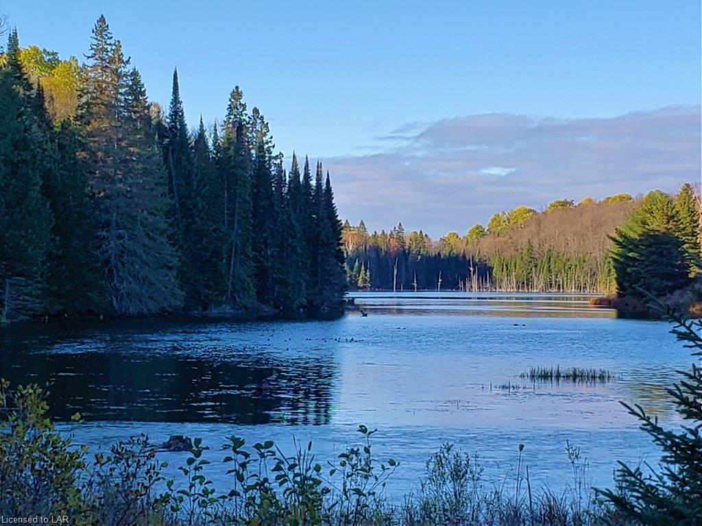 BETHEL Road, Minden Ontario, Canada