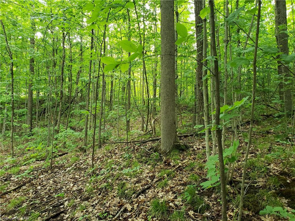 1065 HENDERSON Road, Minden Ontario, Canada