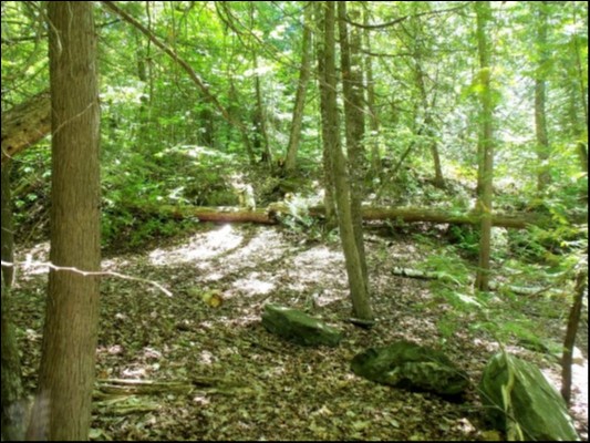 9 WEST PETER'S ISLAND ROAD, Trent Lakes Ontario, Canada