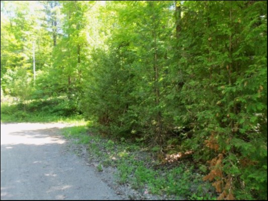 9 WEST PETER'S ISLAND ROAD, Trent Lakes Ontario, Canada
