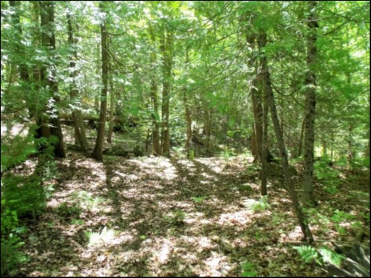 9 WEST PETER'S ISLAND ROAD, Trent Lakes Ontario, Canada
