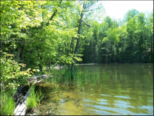 9 WEST PETER'S ISLAND ROAD, Trent Lakes Ontario, Canada