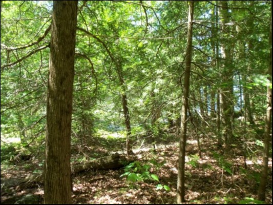 9 WEST PETER'S ISLAND ROAD, Trent Lakes Ontario, Canada