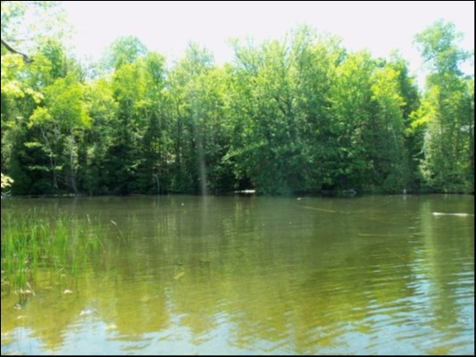 9 WEST PETER'S ISLAND ROAD, Trent Lakes Ontario, Canada