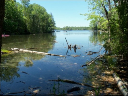 9 WEST PETER'S ISLAND ROAD, Trent Lakes Ontario, Canada