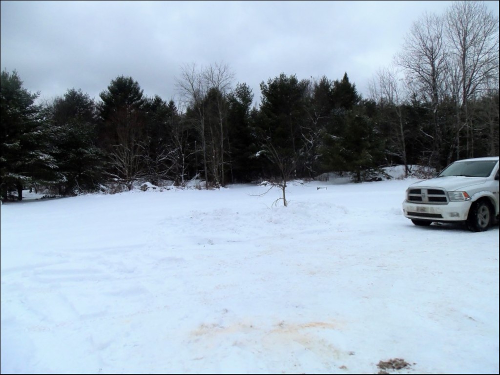 CTY. RD. 121, Kinmount, Ontario, Canada