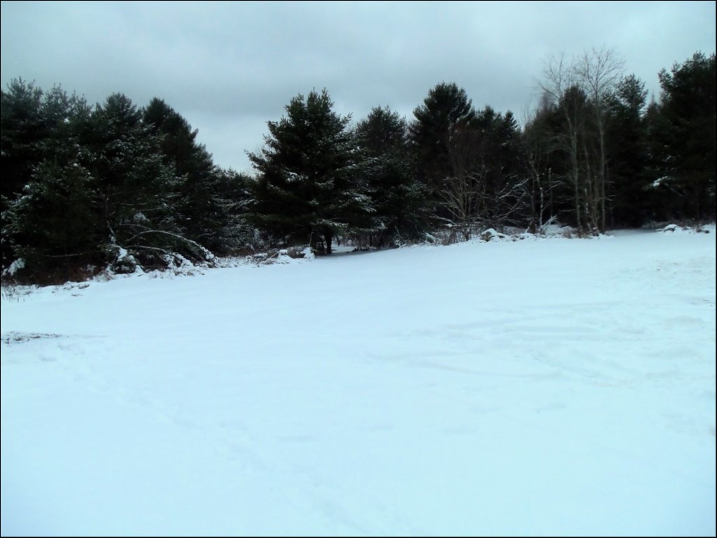 CTY. RD. 121, Kinmount, Ontario, Canada