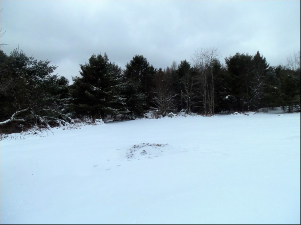 CTY. RD. 121, Kinmount, Ontario, Canada