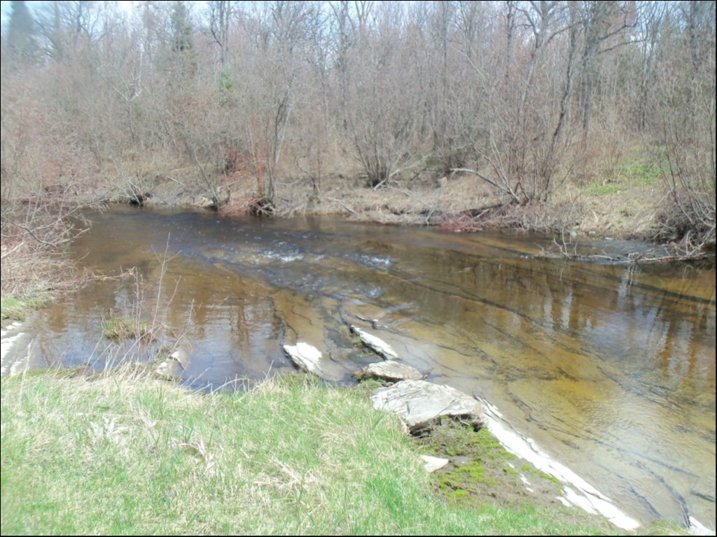 COUNTY ROAD 121, Burnt River, Ontario, Canada