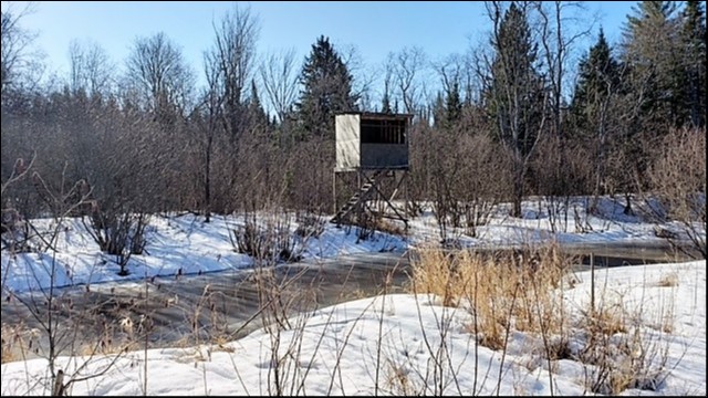 COUNTY ROAD 121, Burnt River, Ontario, Canada