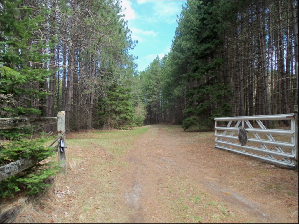 COUNTY ROAD 121, Burnt River, Ontario, Canada