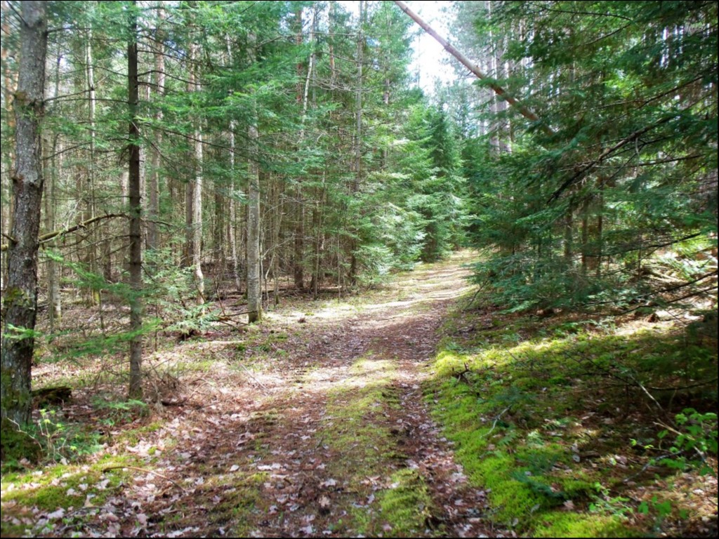 SOMERVILLE TOWNSHIP, KAWARTHA LAKES, Kinmount, Ontario, Canada