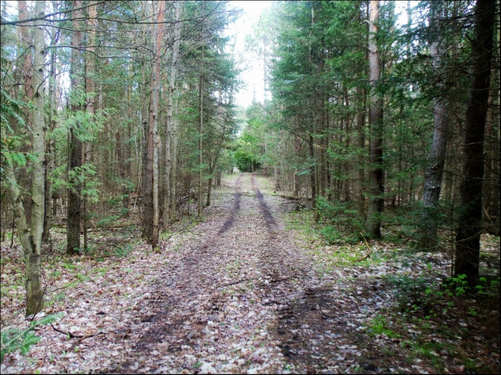 SOMERVILLE TOWNSHIP, KAWARTHA LAKES, Kinmount, Ontario, Canada