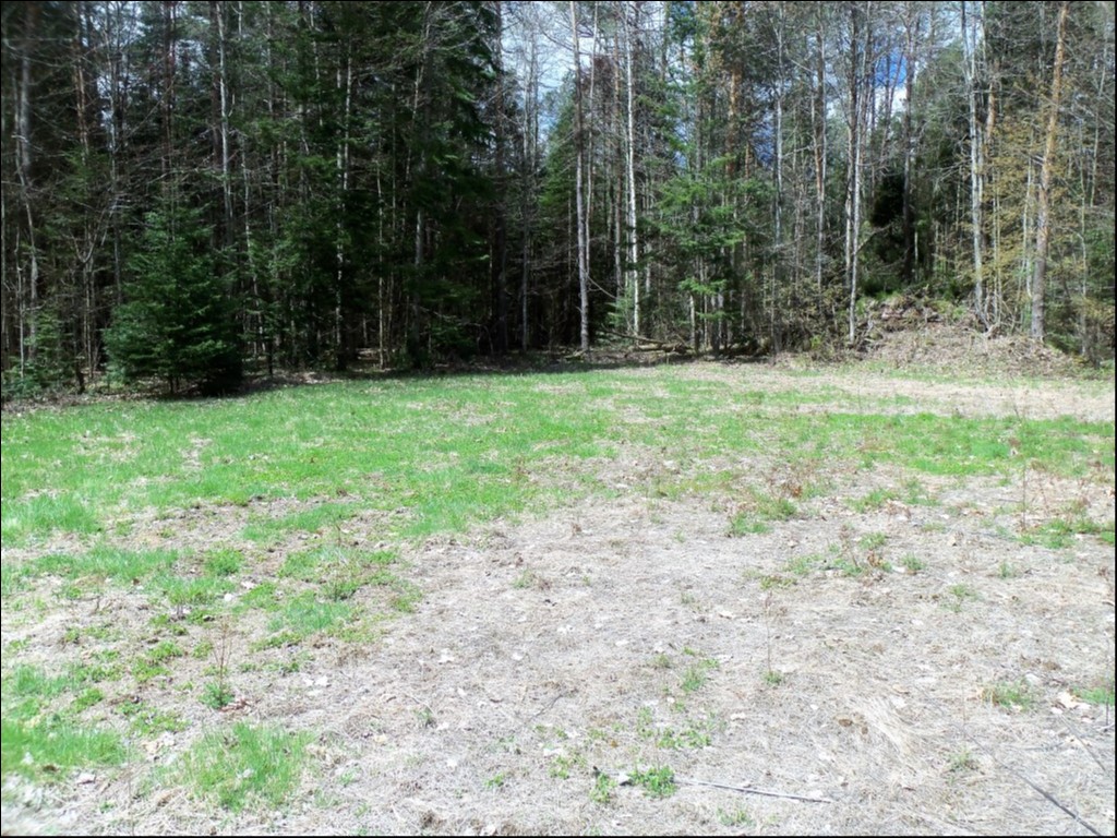 SOMERVILLE TOWNSHIP, KAWARTHA LAKES, Kinmount, Ontario, Canada