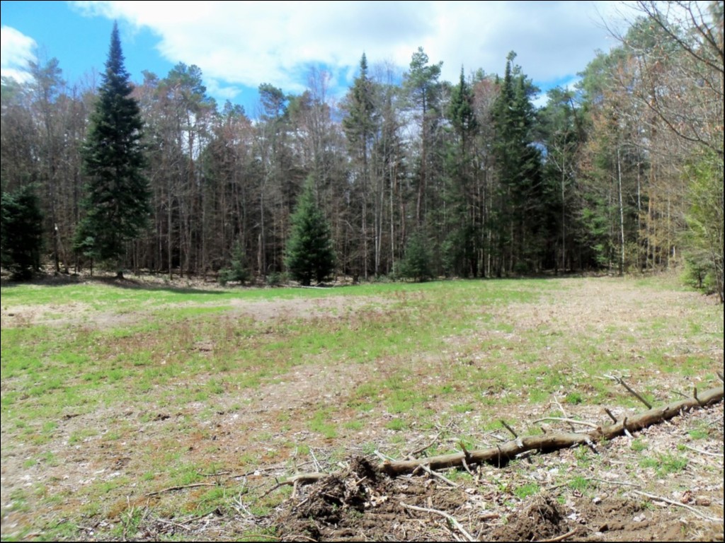 SOMERVILLE TOWNSHIP, KAWARTHA LAKES, Kinmount, Ontario, Canada