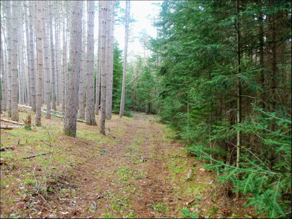 SOMERVILLE TOWNSHIP, KAWARTHA LAKES, Kinmount, Ontario, Canada