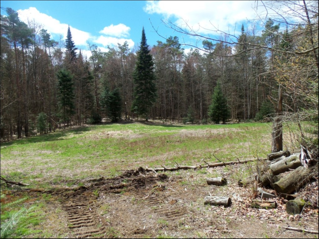 SOMERVILLE TOWNSHIP, KAWARTHA LAKES, Kinmount, Ontario, Canada