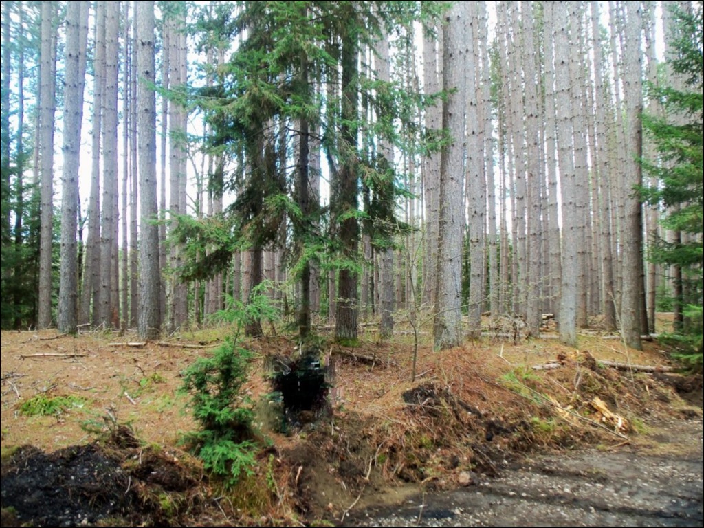 SOMERVILLE TOWNSHIP, KAWARTHA LAKES, Kinmount, Ontario, Canada