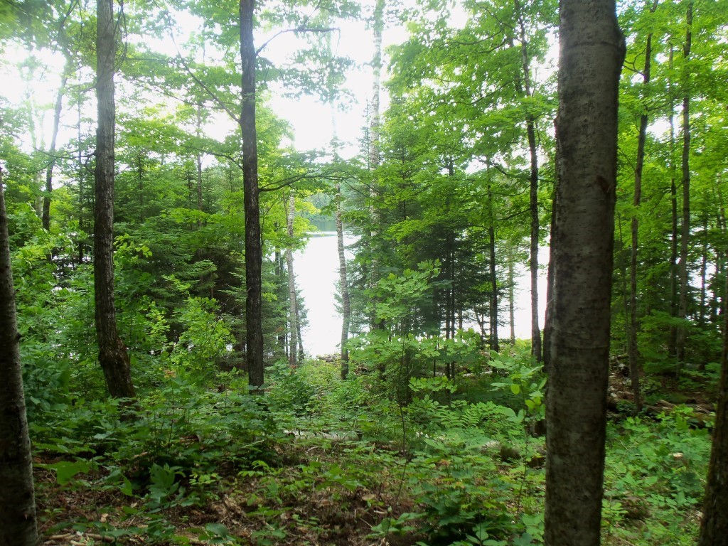 WHITE LAKE, Trent Lakes, Ontario, Canada