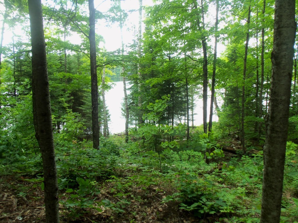 WHITE LAKE, Trent Lakes, Ontario, Canada