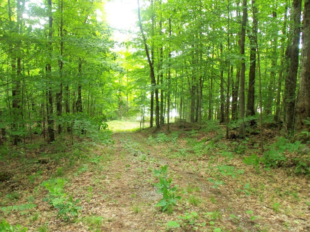 WHITE LAKE, Trent Lakes, Ontario, Canada