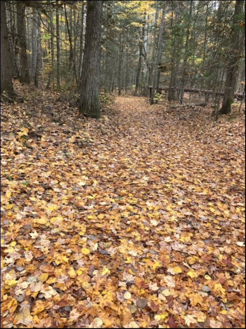 GALWAY, TRENT LAKES, Kinmount, Ontario, Canada