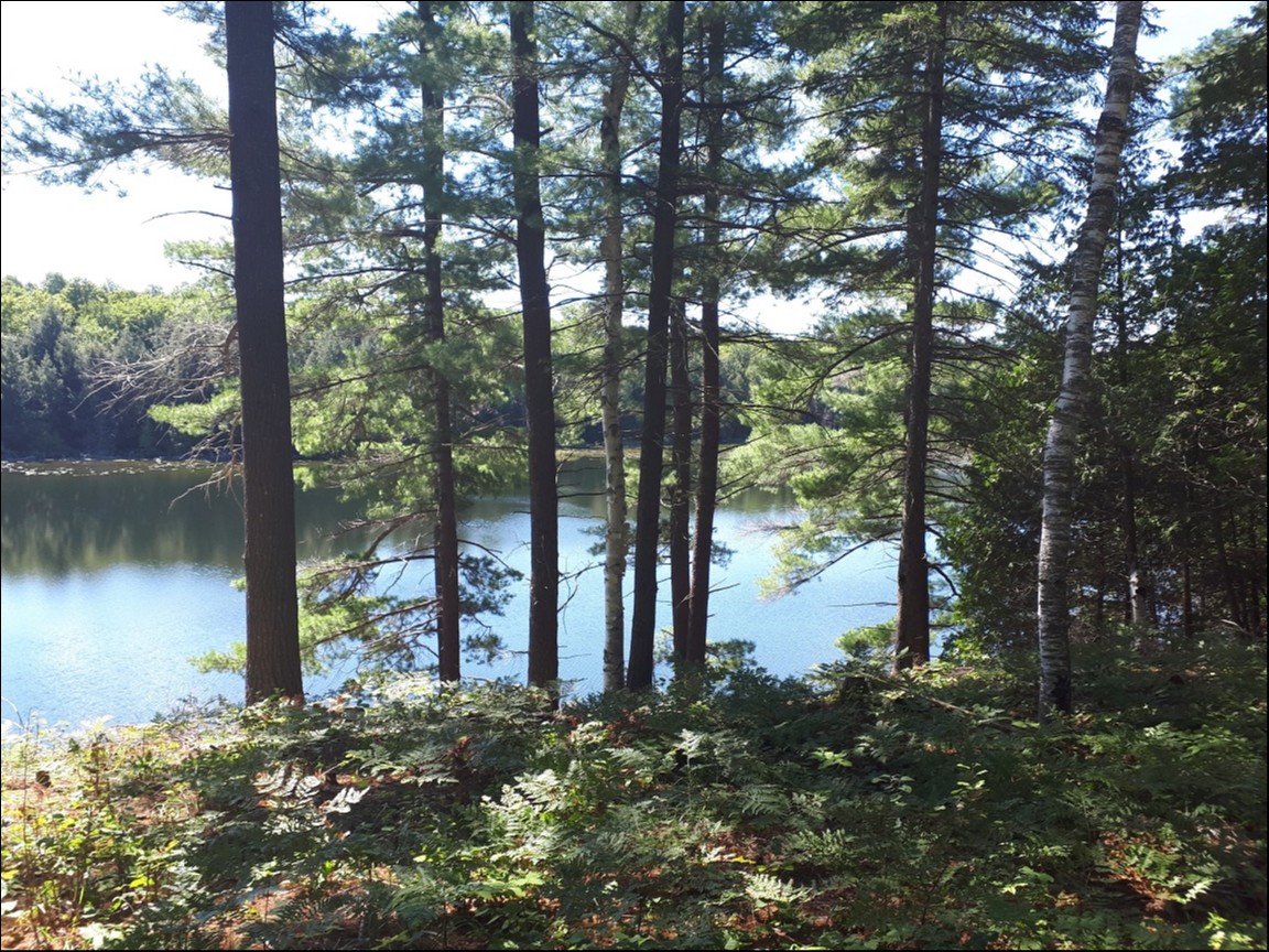 GALWAY, TRENT LAKES, Kinmount, Ontario, Canada