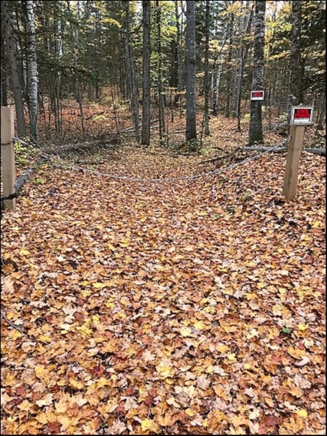 GALWAY, TRENT LAKES, Kinmount, Ontario, Canada