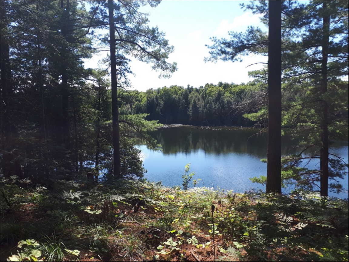 GALWAY, TRENT LAKES, Kinmount, Ontario, Canada