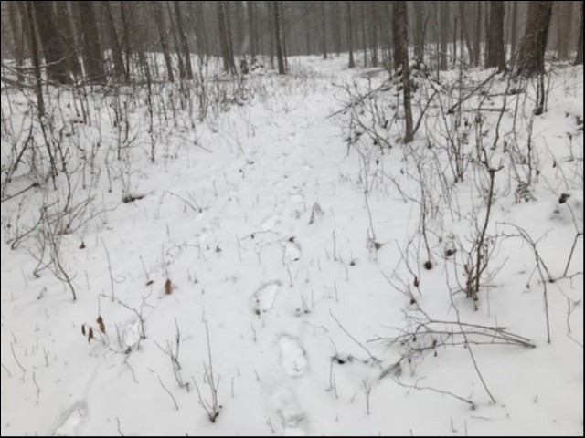 KINMOUNT/IRONDALE, Minden Hills, Ontario, Canada