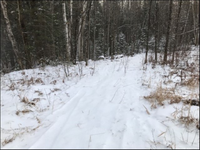 KINMOUNT/IRONDALE, Minden Hills, Ontario, Canada