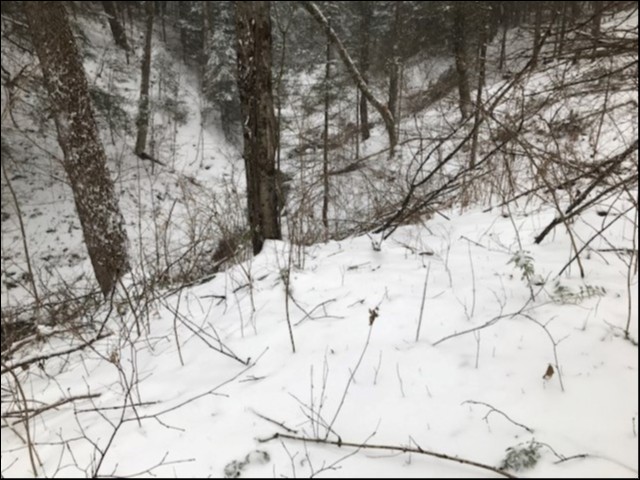 KINMOUNT/IRONDALE, Minden Hills, Ontario, Canada