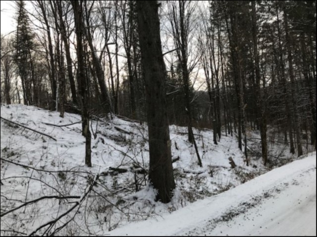 KINMOUNT/IRONDALE, Minden Hills, Ontario, Canada