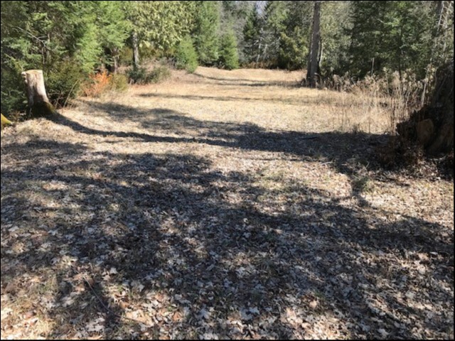 GOODERHAM, Minden Hills, Ontario, Canada